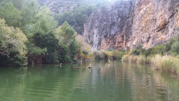 KAPLUMBAĞA VE KUŞ SEYRİ - Görsel 4